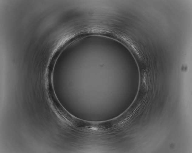 X0000096170678200801181250