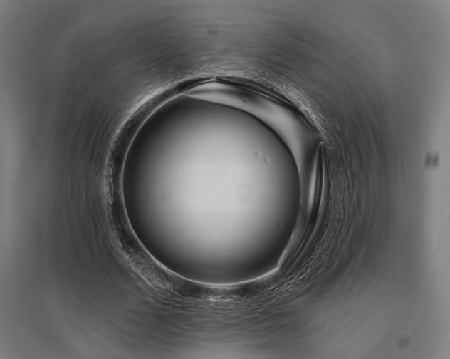 X0000096170680200801181250