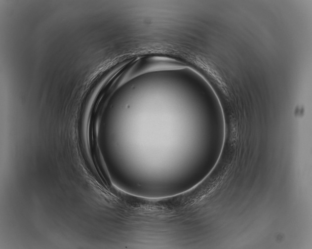X0000096170681200801181250