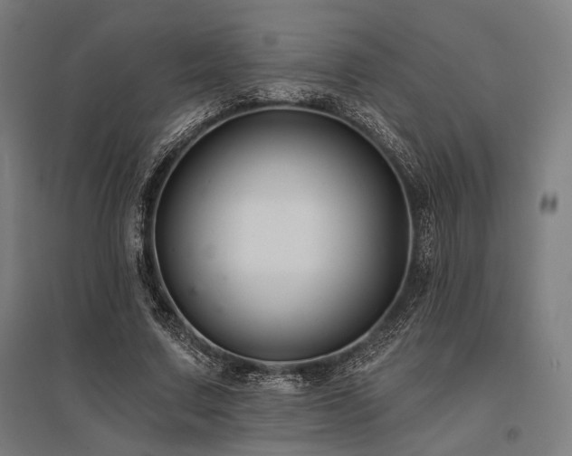 X0000096170683200801181250