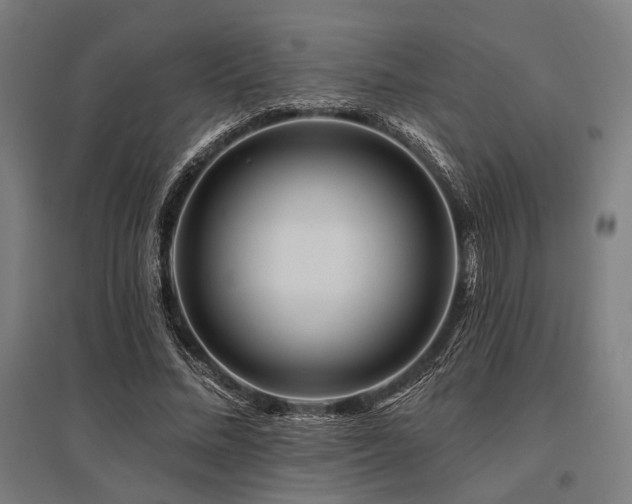 X0000096170684200801181250