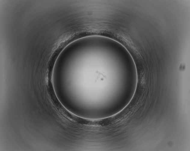 X0000096170685200801181250