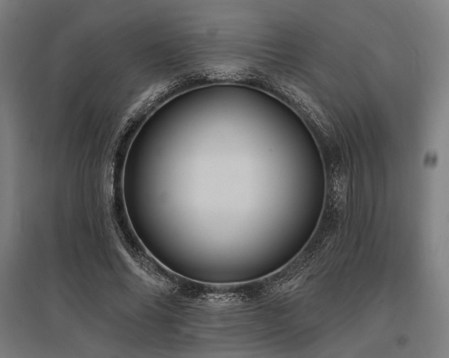 X0000096170686200801181250