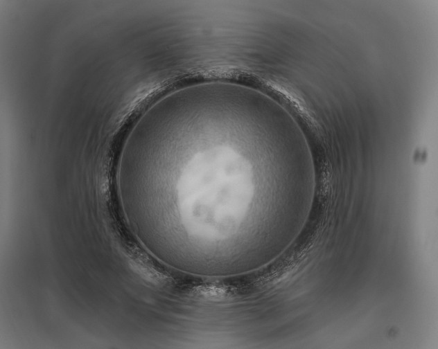 X0000096170687200801181250