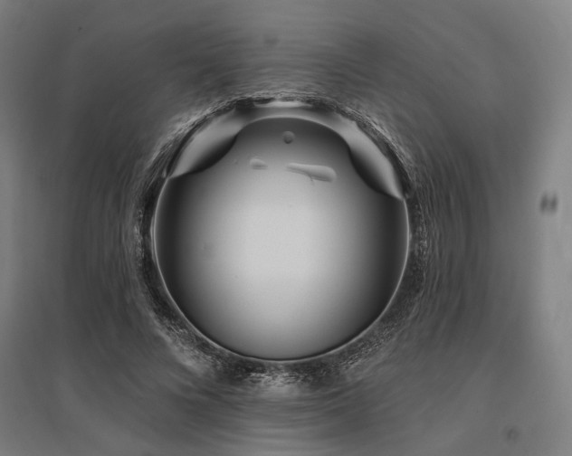 X0000096170688200801181250