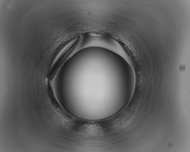 X0000096170689200801181250