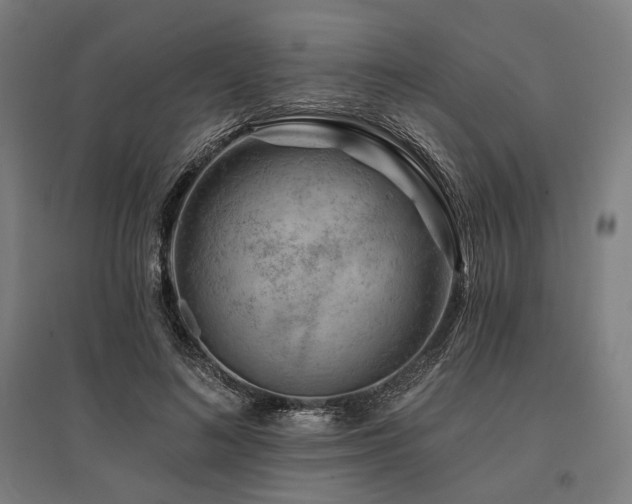 X0000096170692200801181250