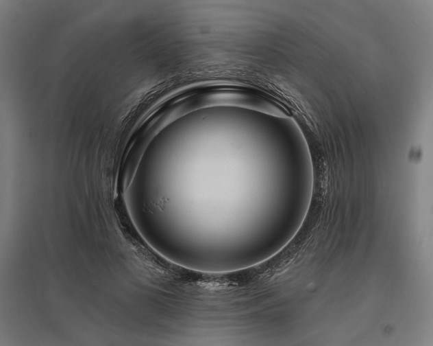 X0000096170693200801181250