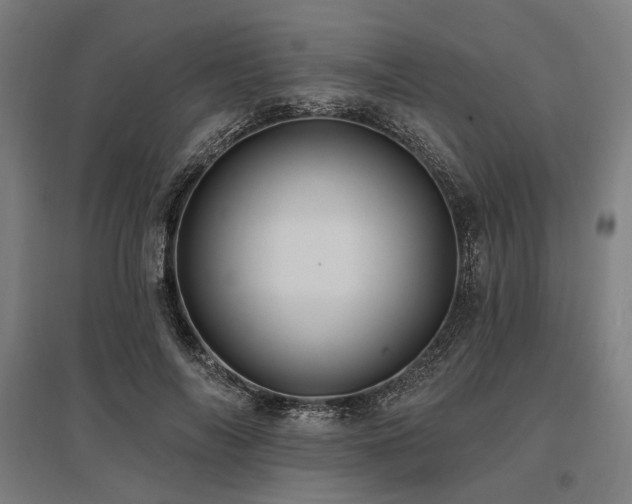 X0000096170694200801181250