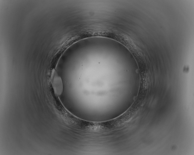 X0000096170695200801181250