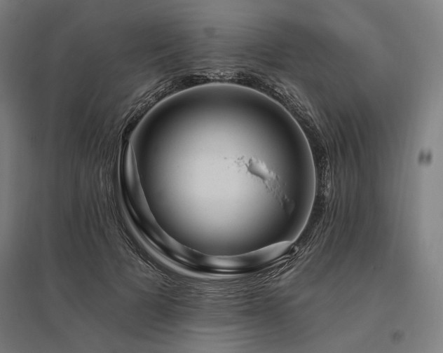 X0000096170697200801181250