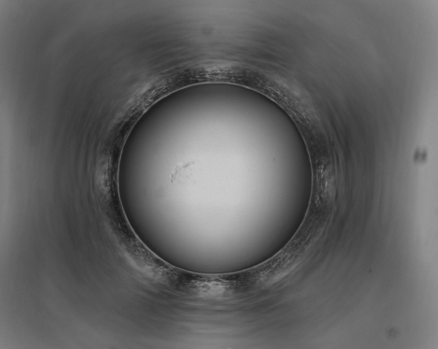 X0000096170698200801181250