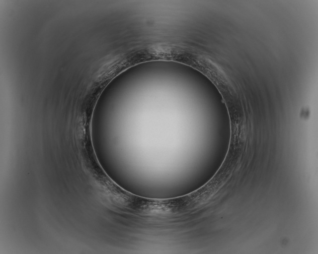 X0000096170702200801181250