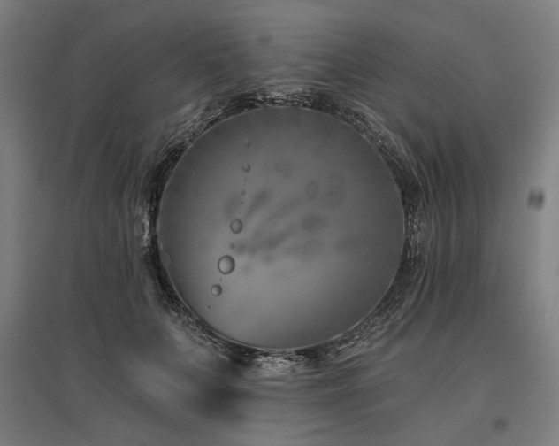 X0000096170703200801181250