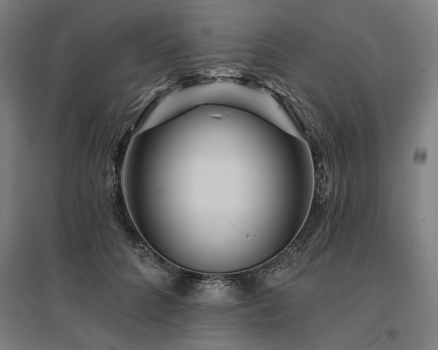 X0000096170704200801181250