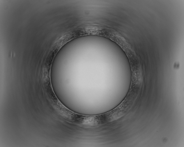 X0000096170705200801181250