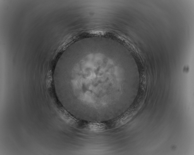 X0000096170707200801181250