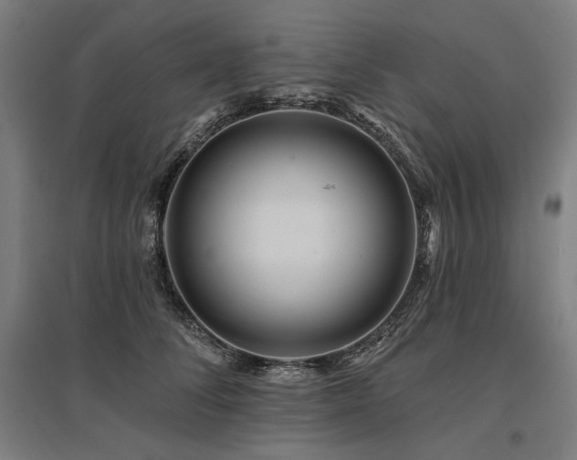 X0000096170708200801181250