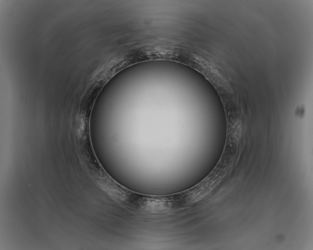 X0000096170709200801181250