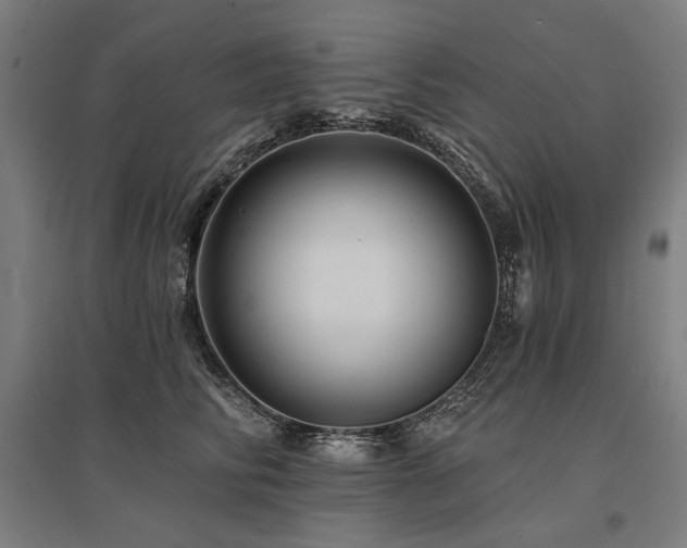 X0000096170710200801181250
