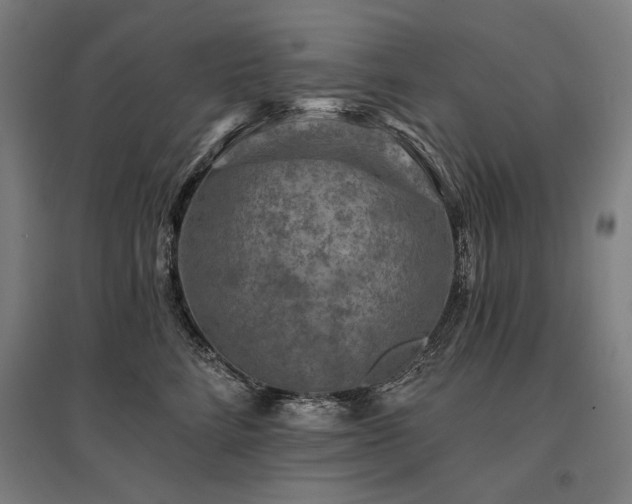 X0000096170712200801181250