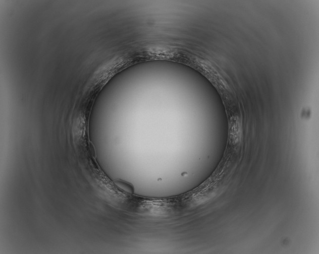 X0000096170713200801181250