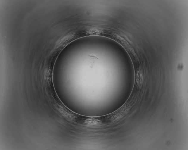 X0000096170714200801181250