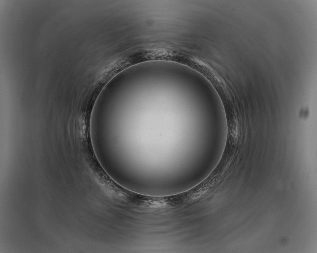 X0000096170715200801181250