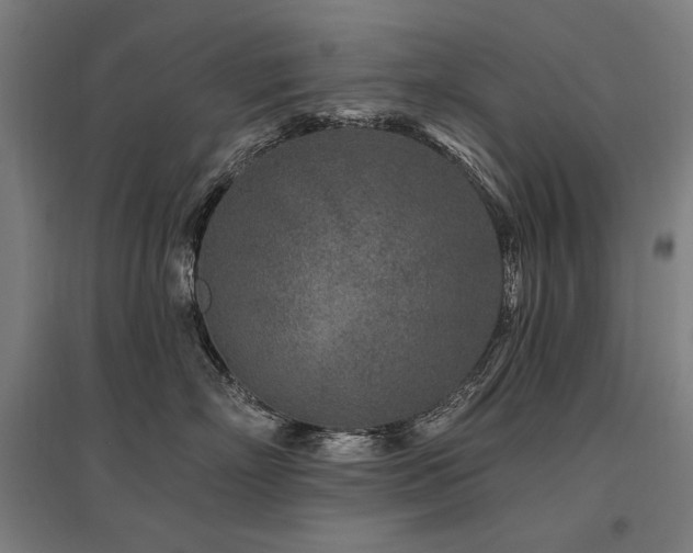 X0000096170718200801181249