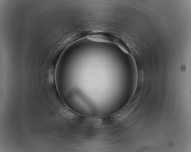 X0000096170719200801181249