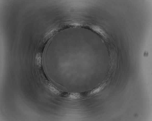 X0000096170720200801181249