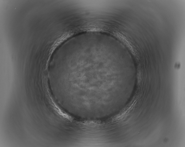 X0000096170721200801181249