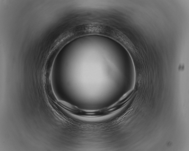 X0000096170722200801181249