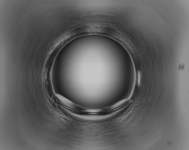 X0000096170723200801181249