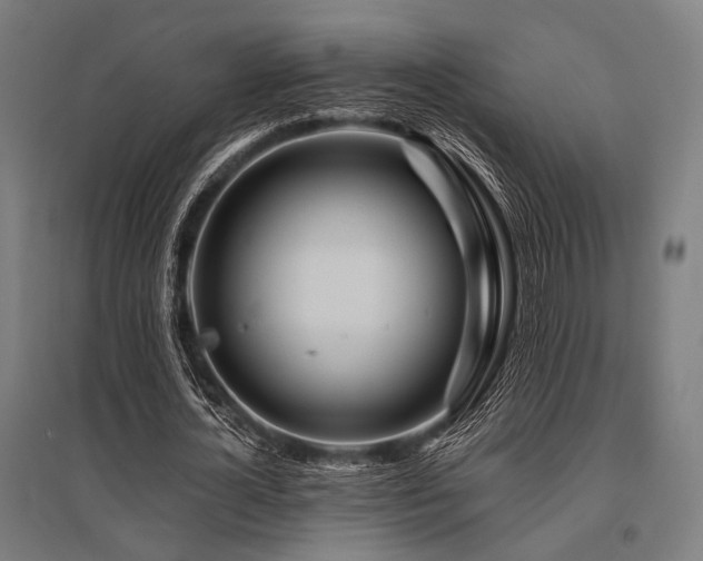 X0000096170724200801181249
