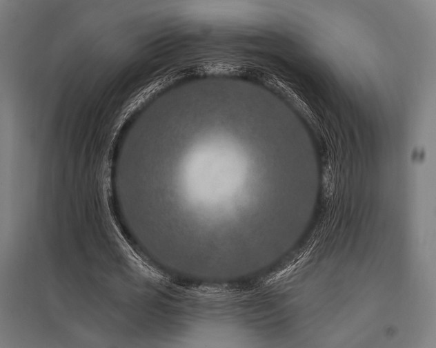 X0000096170725200801181249