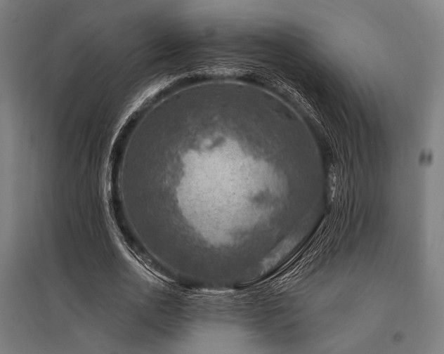X0000096170726200801181249