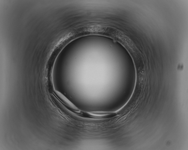 X0000096170727200801181249