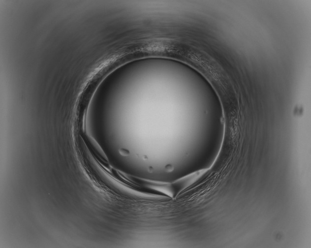 X0000096170728200801181249