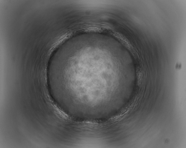 X0000096170729200801181249