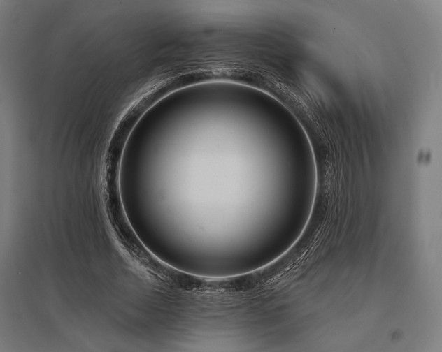 X0000096170730200801181249