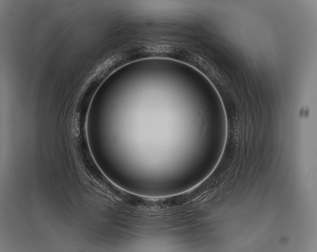 X0000096170731200801181249