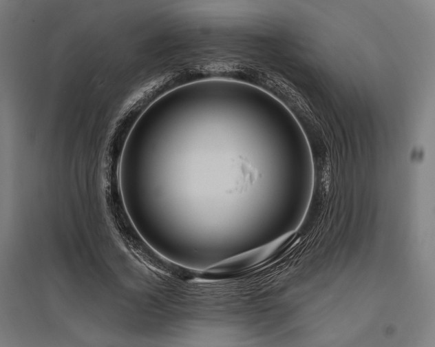 X0000096170732200801181249