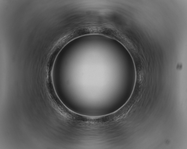 X0000096170733200801181249