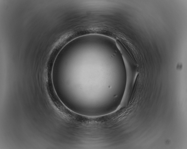 X0000096170734200801181249