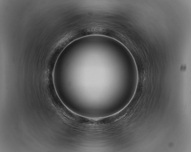 X0000096170735200801181249