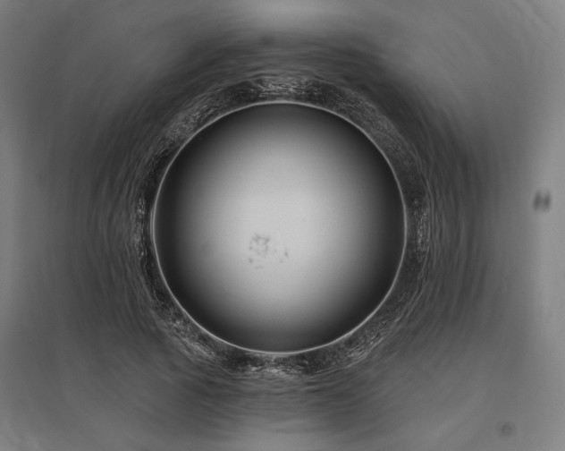 X0000096170737200801181249