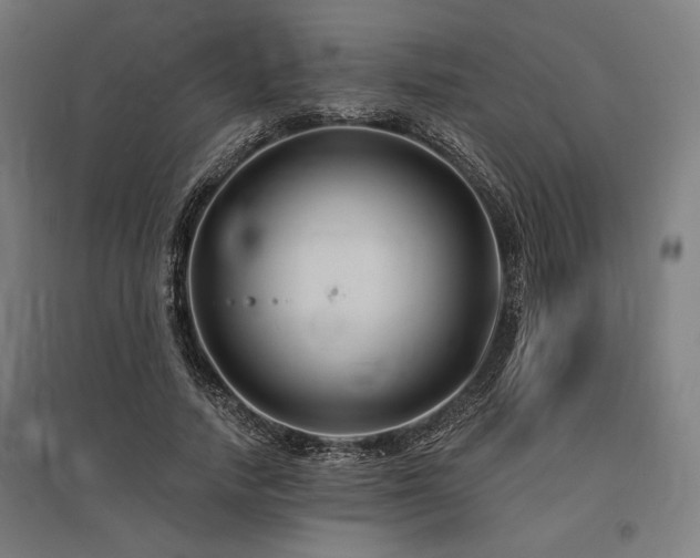 X0000096170738200801181249