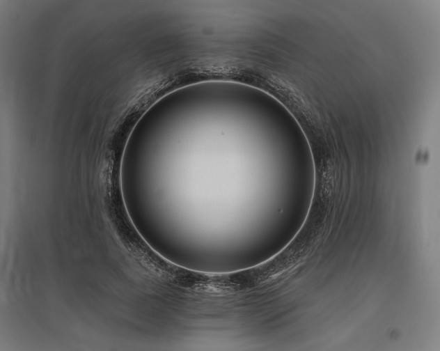 X0000096170739200801181249