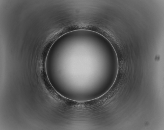 X0000096170740200801181249